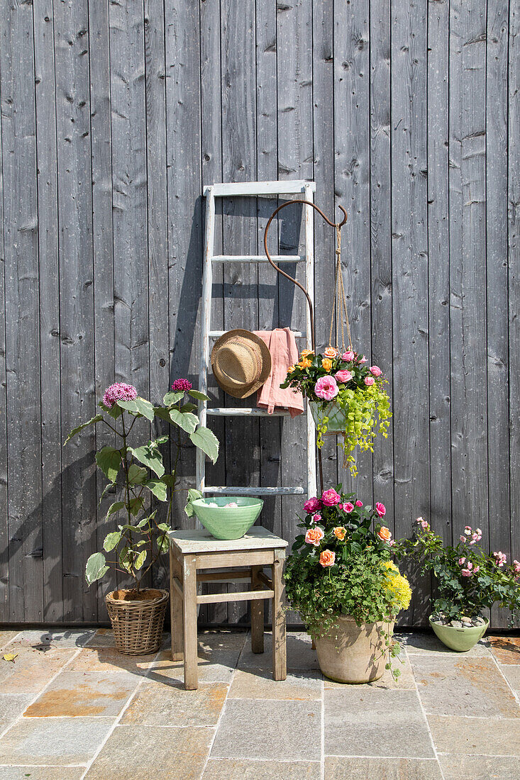 Decorated ladder with hydrangeas and roses in front of wooden wall