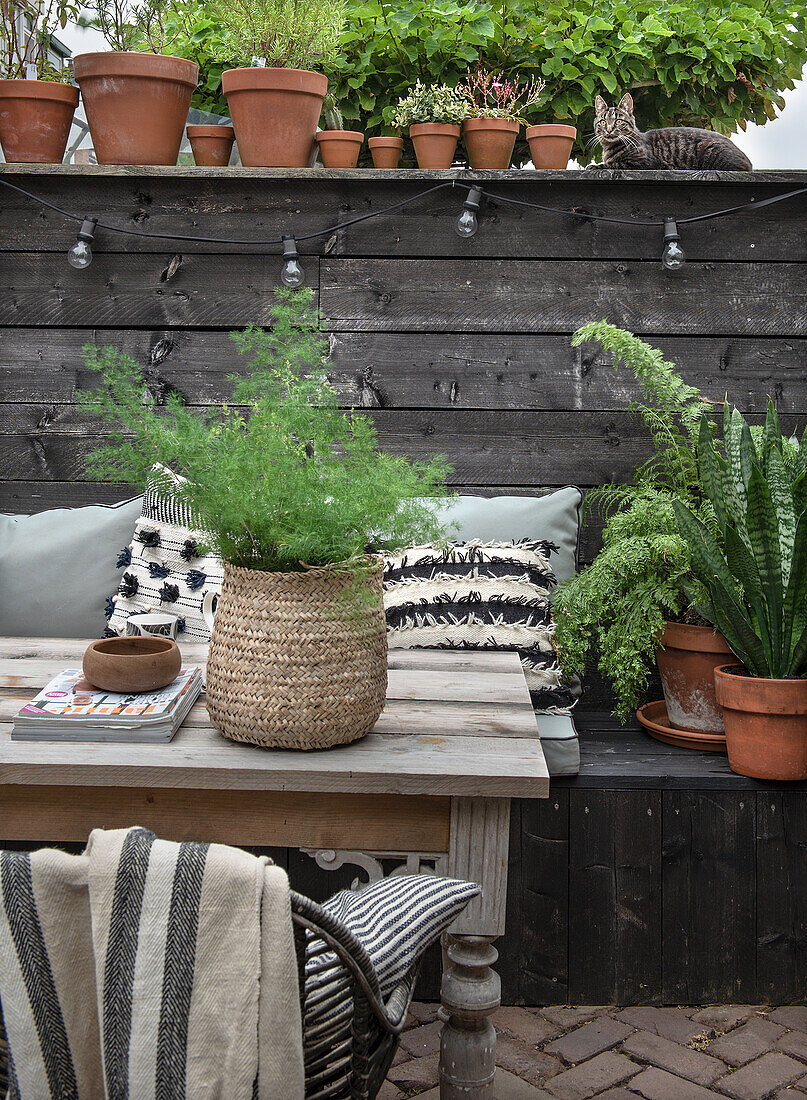 Terrace with wooden bench, potted plants and fairy lights