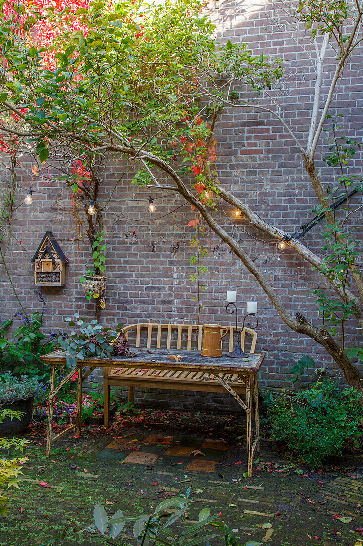 Bank, Holztisch und Lichterkette vor Backsteinwand im herbstlichen Innenhof