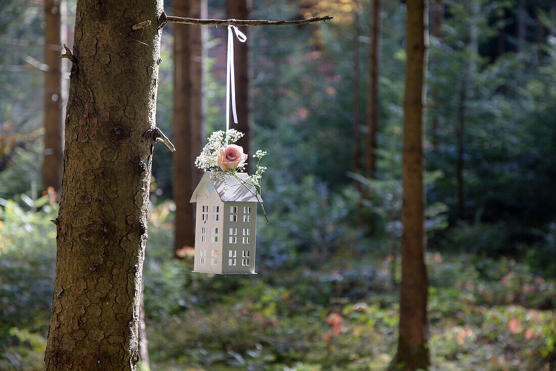 Weiße Laterne mit Blumenstrauß aus Schleierkraut und Rose hängt an Baum im Wald