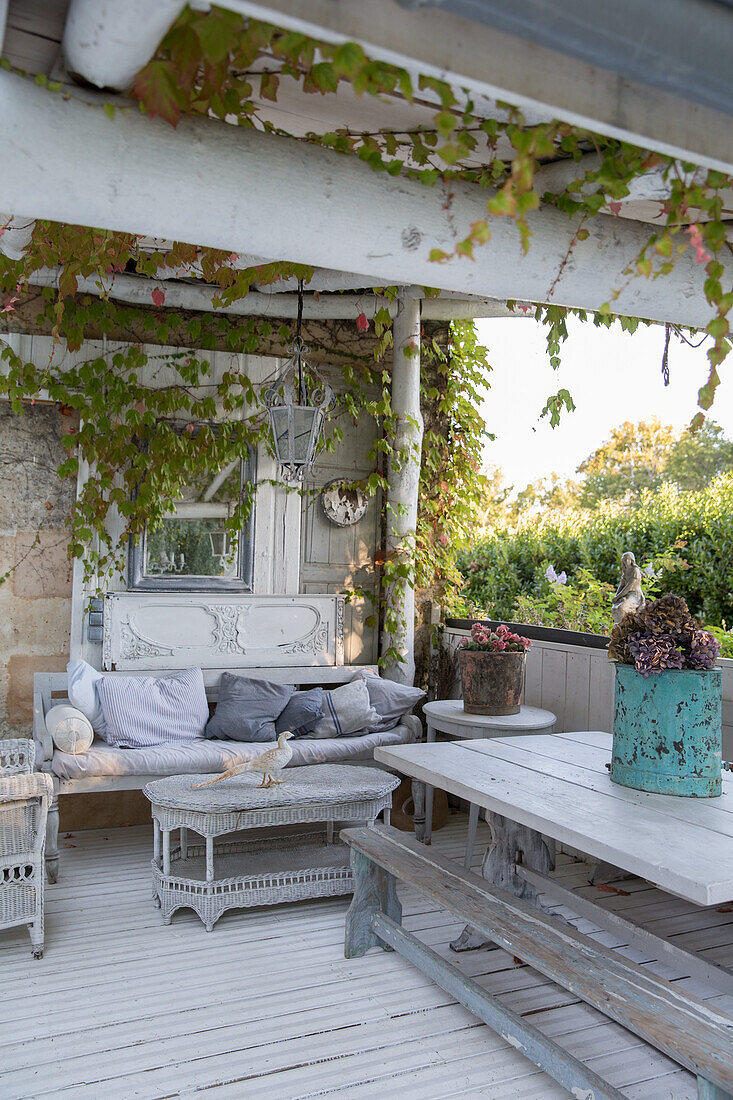 Covered terrace with vintage and rattan furniture and plant tendrils