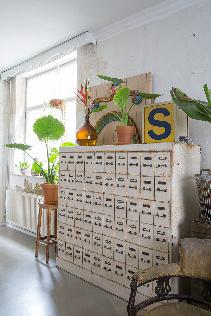 Vintage-Apothekerschrank mit Zimmerpflanzen und Dekoration im hellen Raum