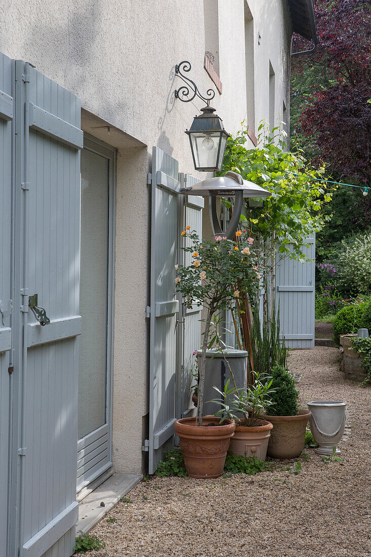 Potted plants and outdoor lantern next to a light-coloured house wall with blue shutters in the garden