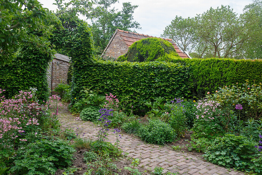 Garden with paved path surrounded by flowering perennials, hedges and shrubs