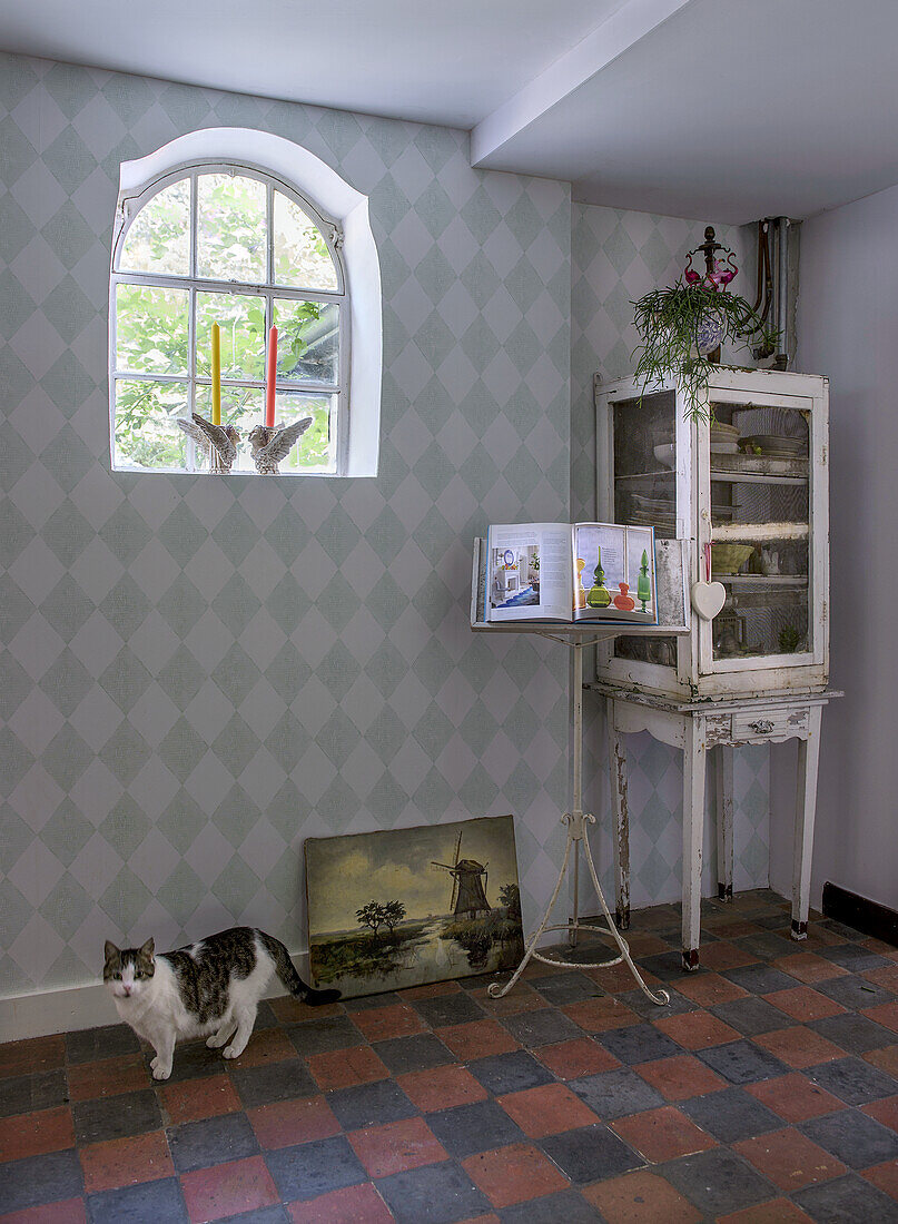 Corner of room with diamond wallpaper, antique glass cabinet and cat on the floor