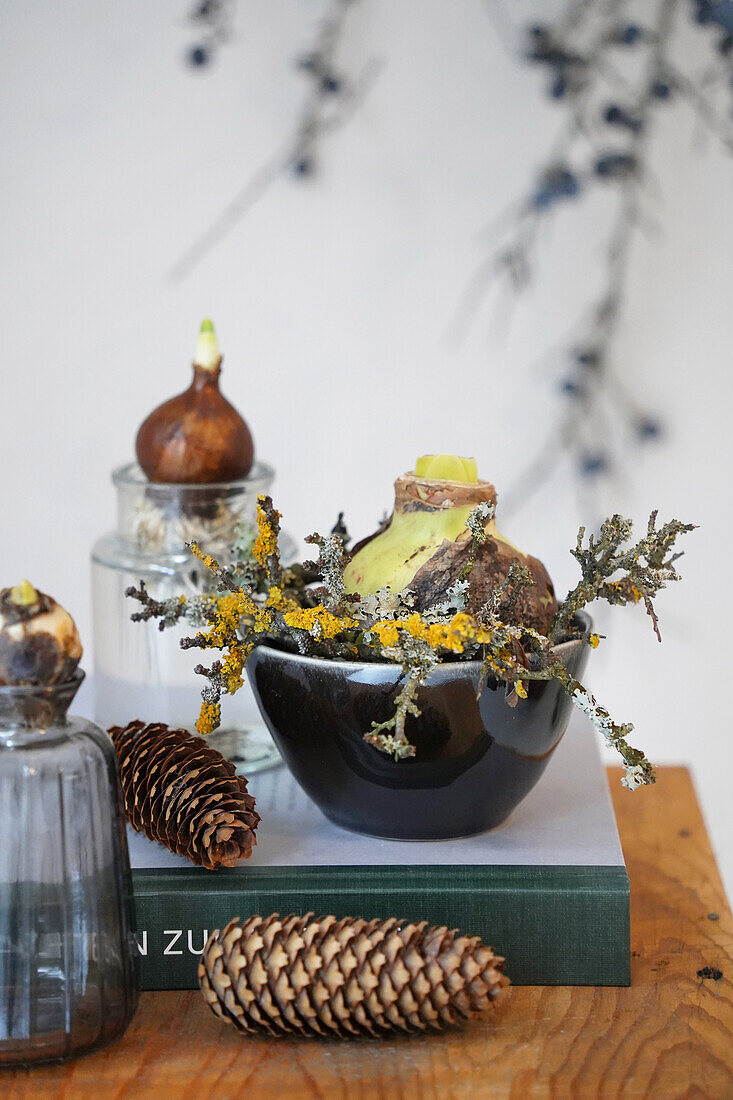 Herbstdeko mit Zapfen und Flechten in schwarzer Schale