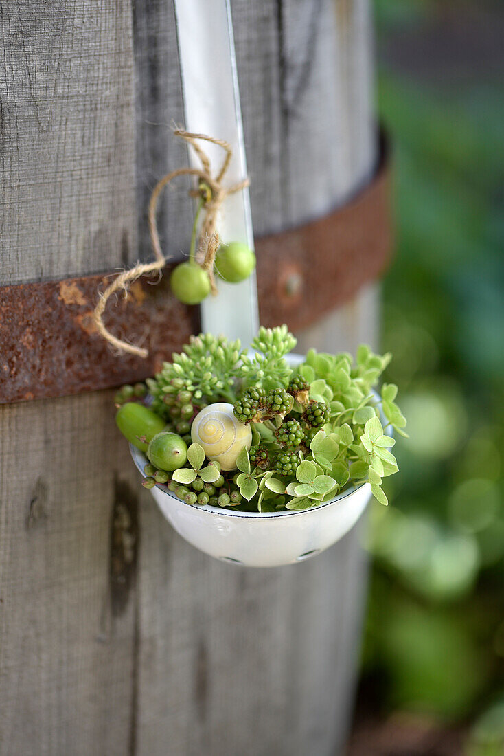 Autumn decoration with succulents, hydrangea, sedum, snail shell and acorns in a hanging ladle