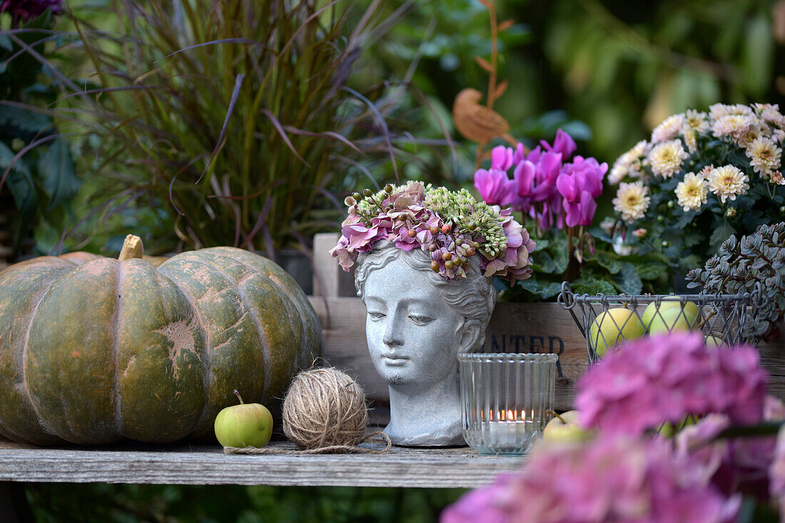 Herbstliche Gartendeko mit Kürbis, Hortensienkranz (Hydrangea) auf Büste, Alpenveilchen, Äpfel, Windlicht auf Holztisch