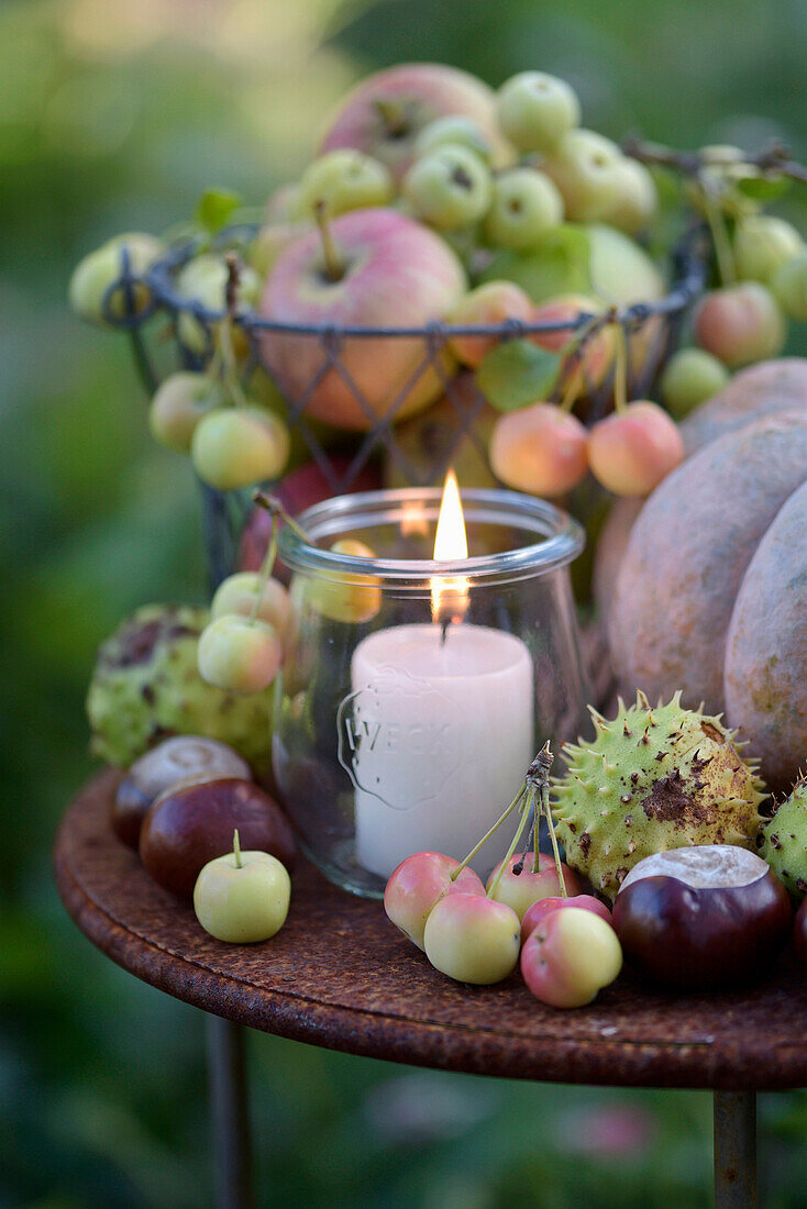 Autumn arrangement with candle, ornamental apples (Malus), apples and chestnuts on outdoor rust table