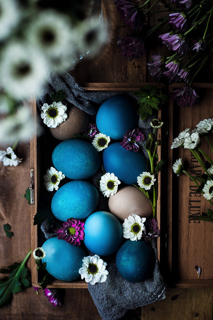 Colored Easter eggs in blue and natural tones with spring flowers in a wooden box