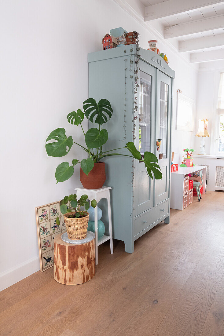 Hellblauer Schrank mit Glasfront, Monstera-Pflanze und Holzboden