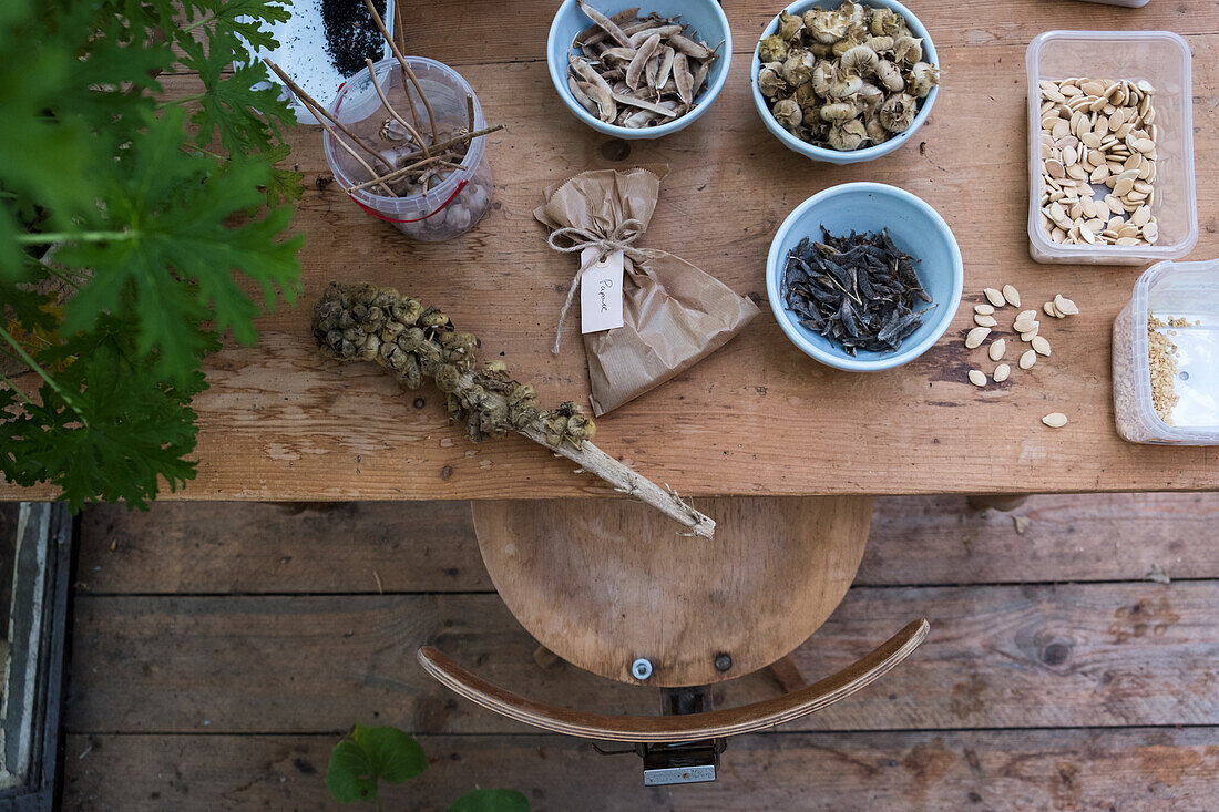 DIY-Werkstatt mit getrockneten Kräutern und Samen auf Holztisch