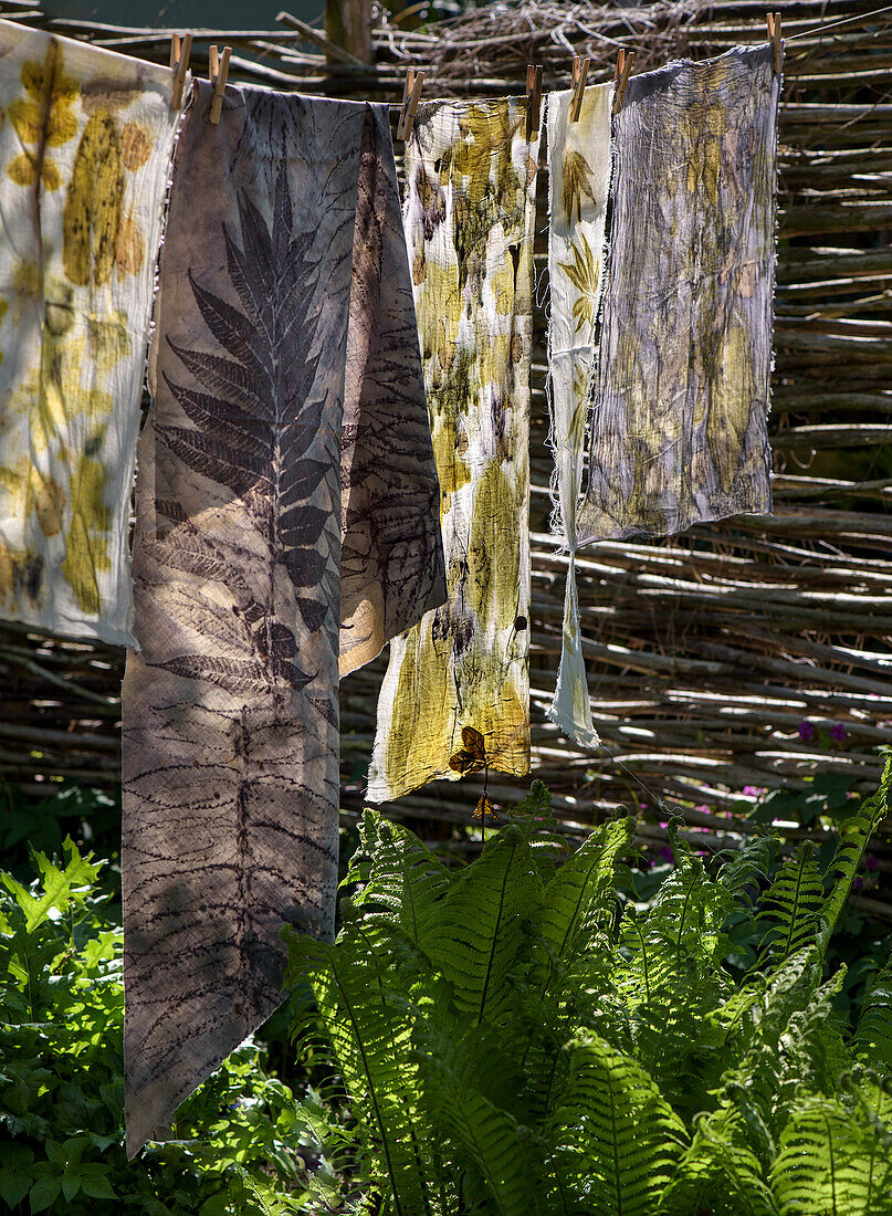 Plant-dyed fabrics on washing line in the garden