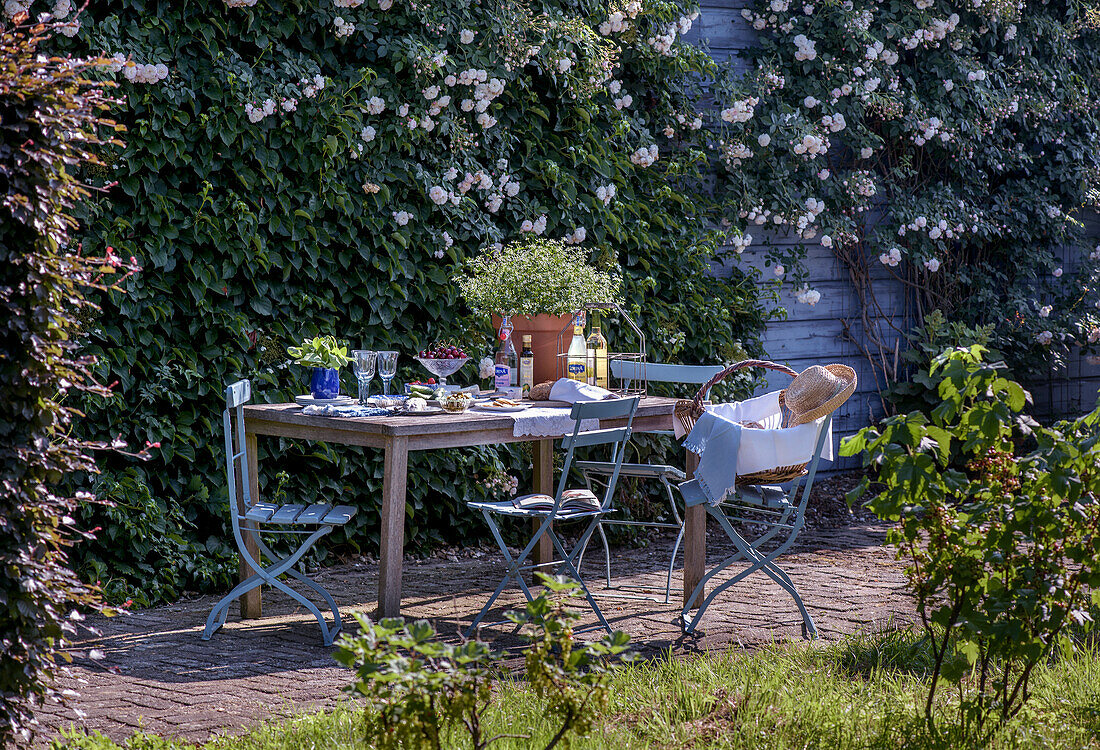 Gedeckter Tisch im Garten und Rosengewächse im Sommer