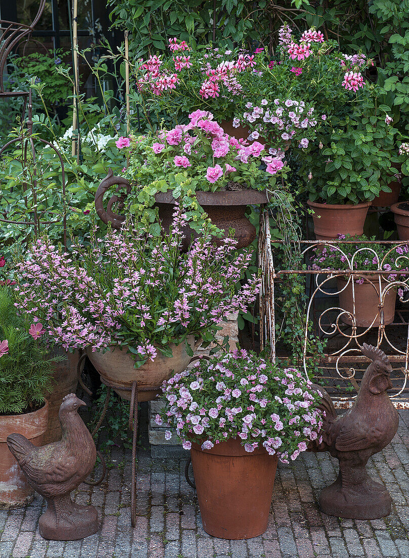 Rosablühende Blumen in Terrakottatöpfen mit dekorativen Hühnerfiguren