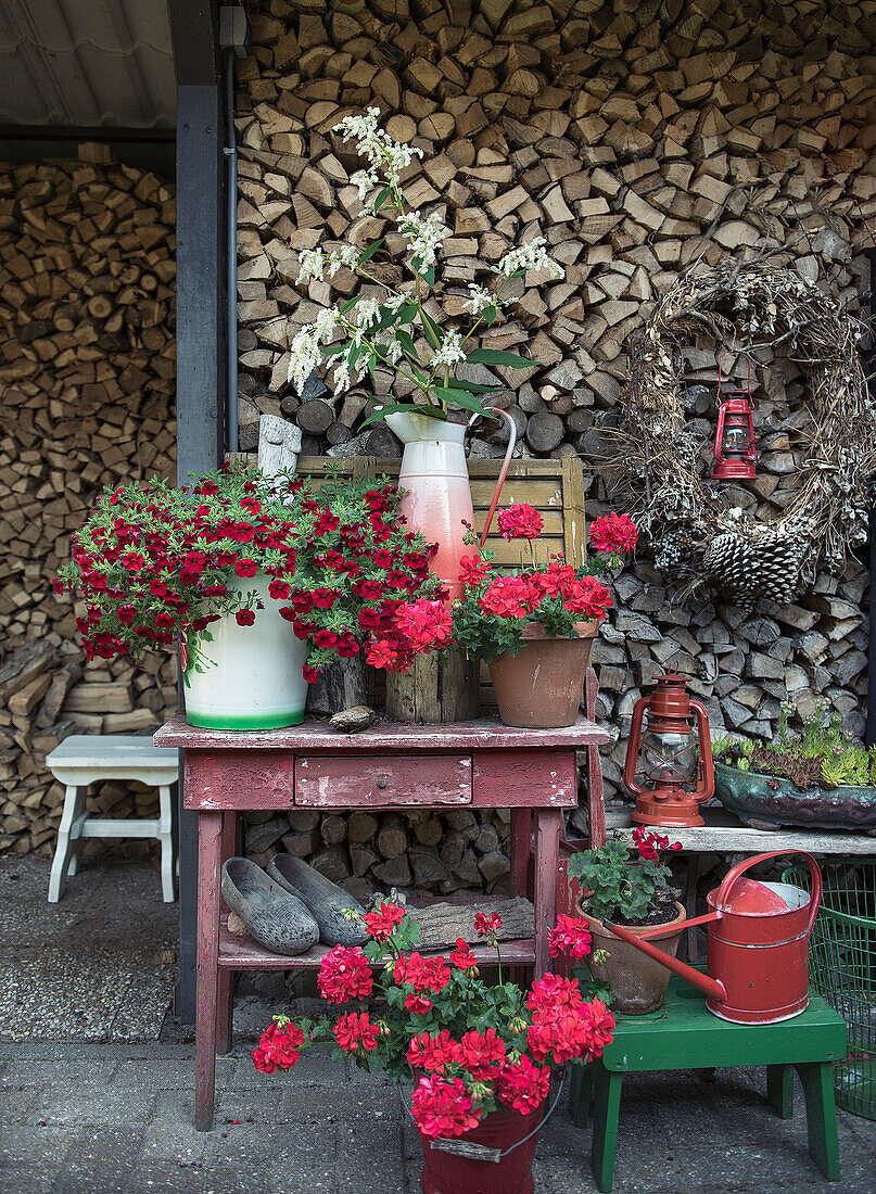 Rustically decorated garden area with red geraniums in front of a stack of logs