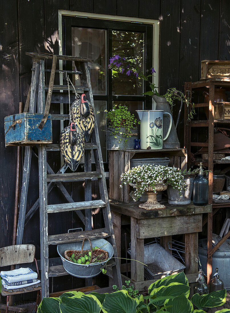 Vintage-Gartenbereich mit Leiter, Gießkanne und Blumentöpfen