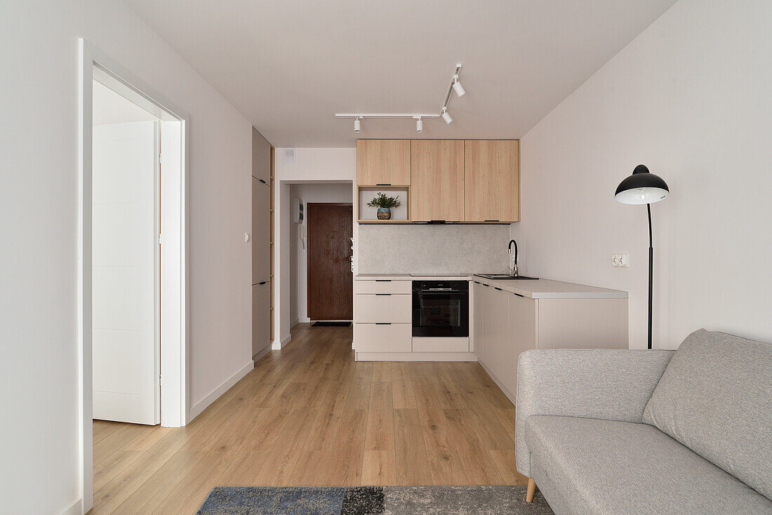 Modern two-room flat with kitchenette