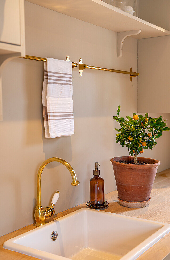 Kitchen workspace with orange tree in terracotta pot and sink with gold fittings