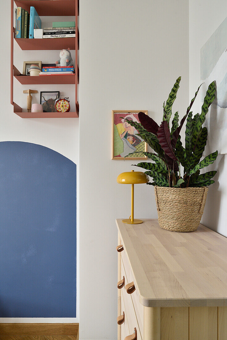 Chest of drawers with lamp and plant, blue accent wall