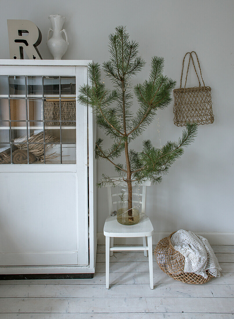 Corner of room with small conifer on white chair and vintage cupboard