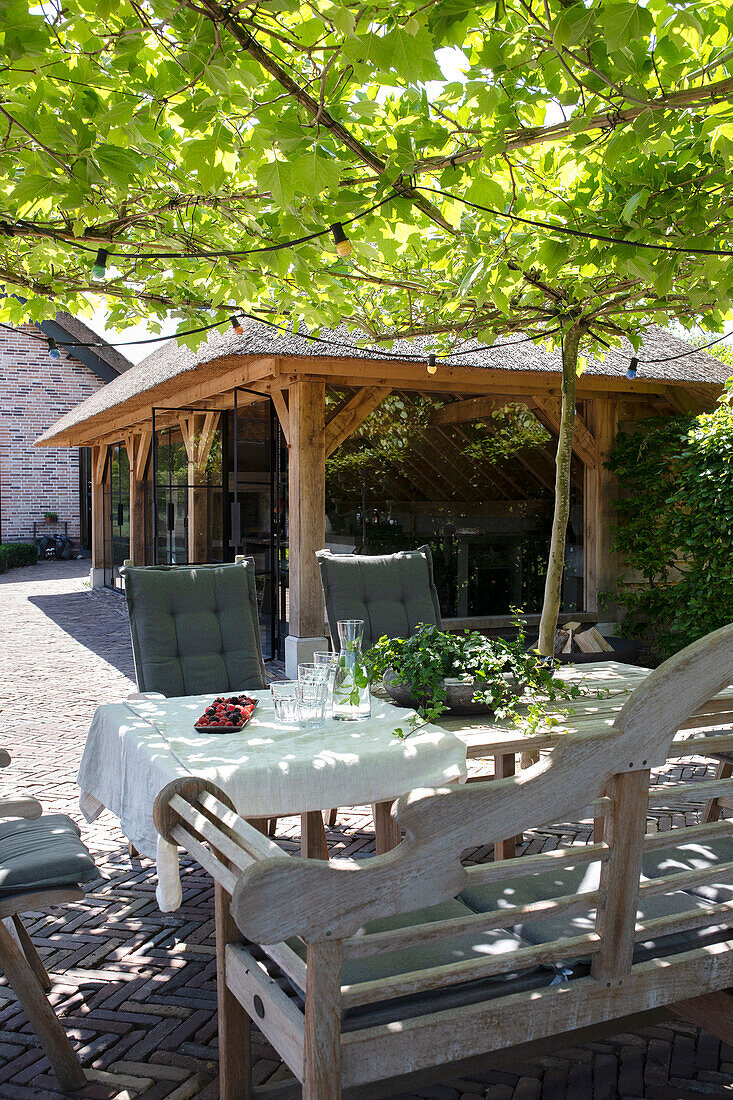 Wooden seating area in the sunny garden under a pergola with vines