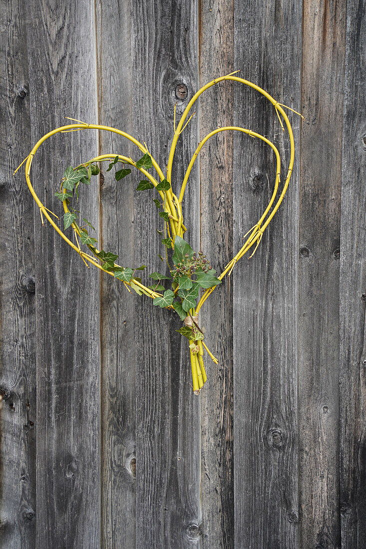 Heart-shaped decoration made from yellow twigs and ivy on a wooden wall