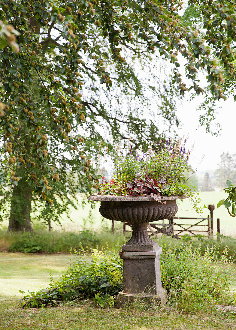 Steinernes Pflanzgefäß mit Sommerblumen in ländlichem Garten