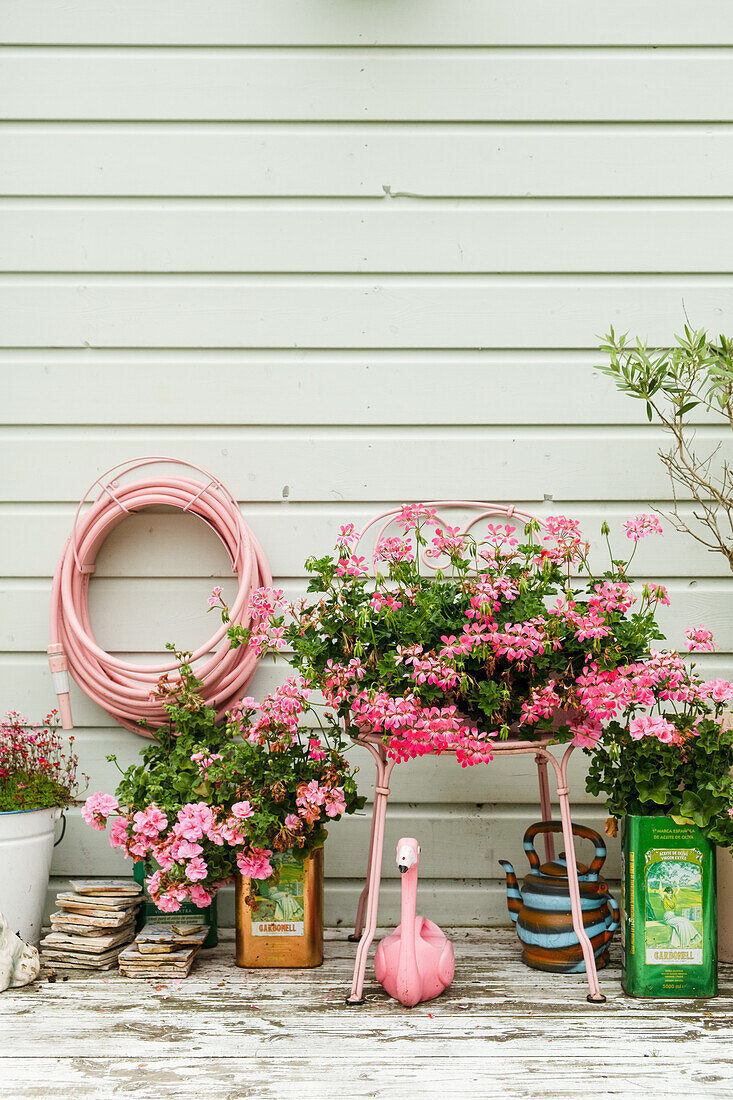 Rosa Blumen und rosa Gartenschlauch an Hauswand