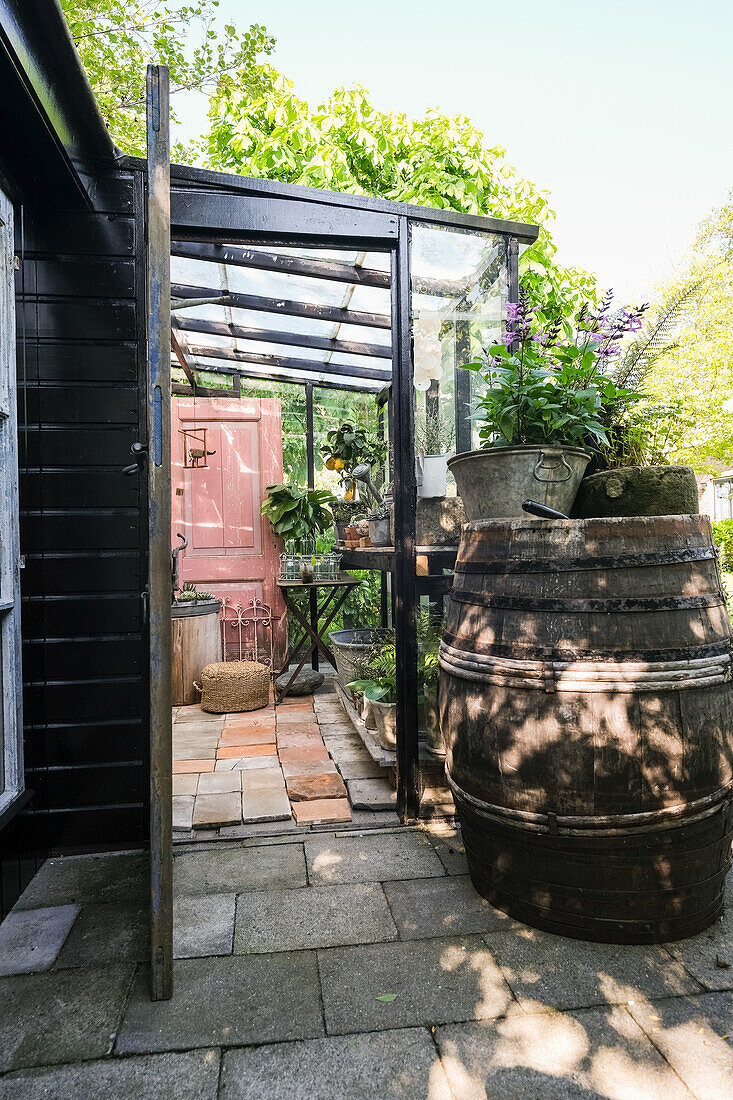 Entrance to the greenhouse and wooden barrel