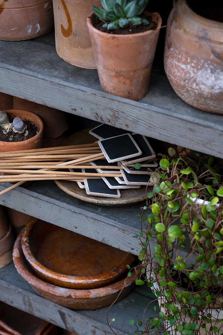 Shelf with terracotta pots and plant labels