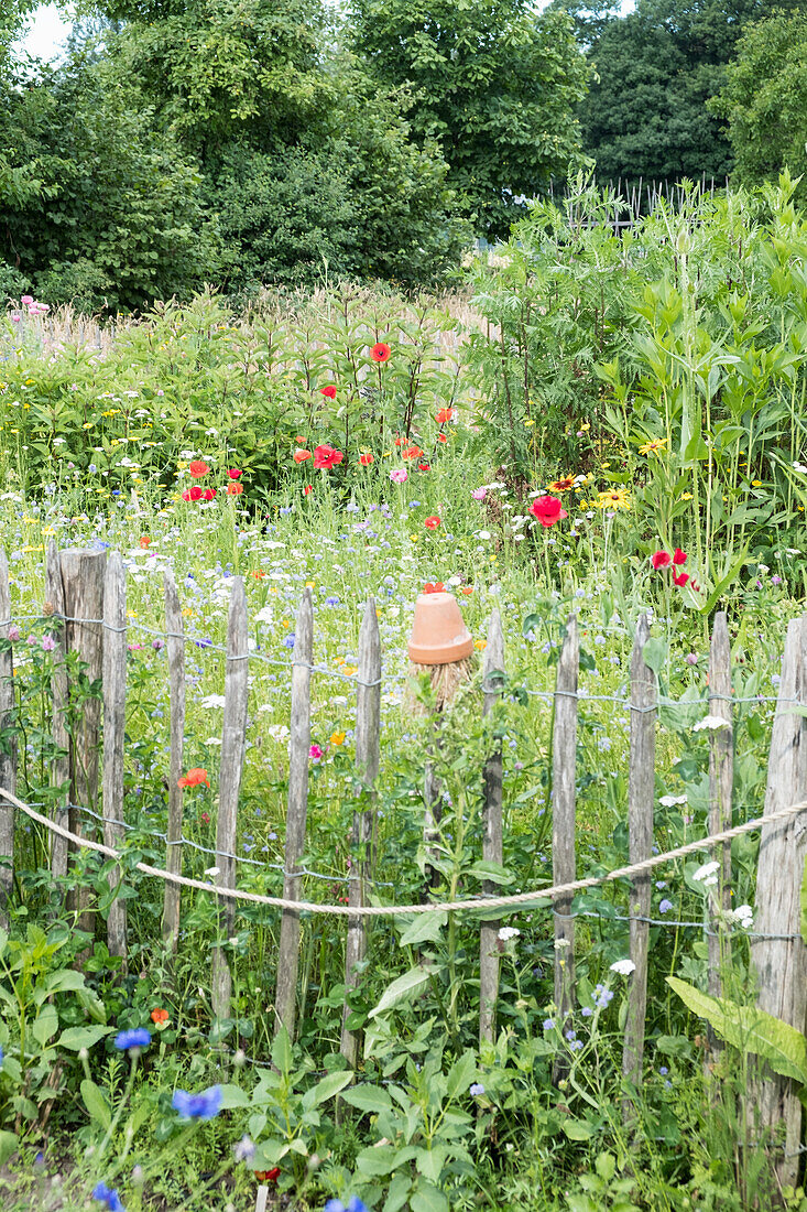 Colourful flower garden with rustic wooden fence in summer