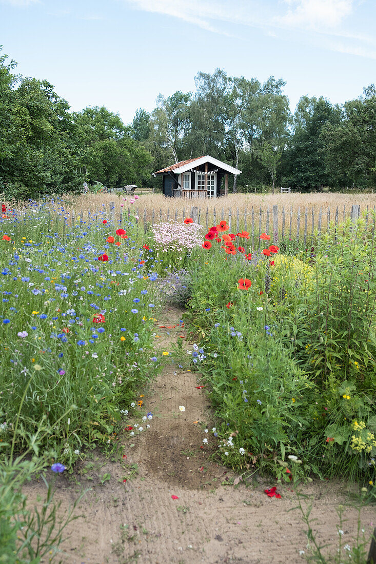 Pfad mit Wildblumen führt zu Holzhaus im sommerlichen Garten