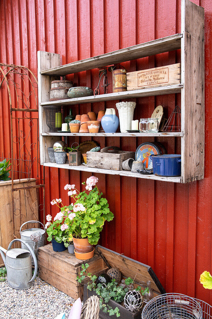 Shelf with garden utensils and plant pots in front of red wooden wall