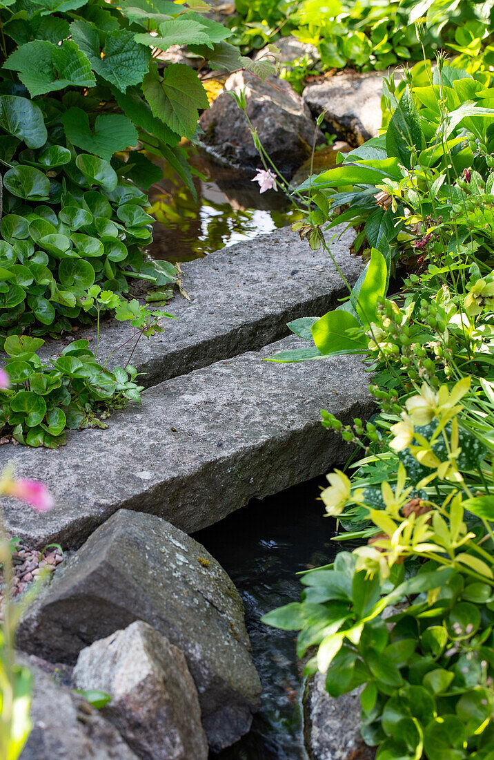 Kleiner Gartenbach mit Steinen und üppigem Grün