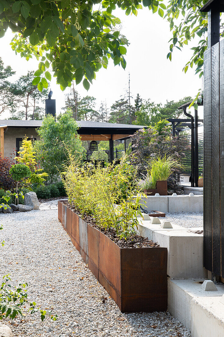 Garden area with steel raised beds and gravel path