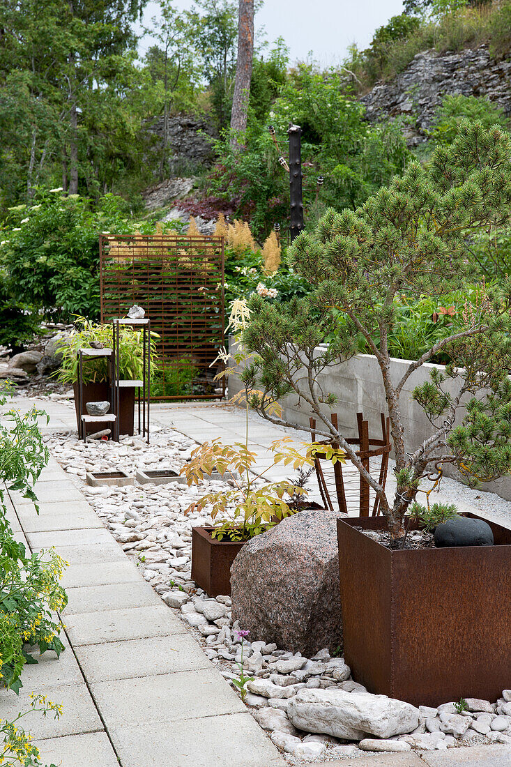 Modern rock garden with pine tree in steel planter box