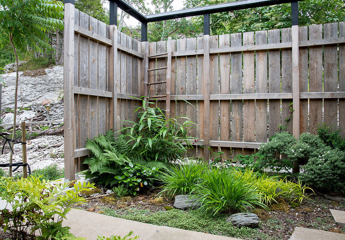 Wooden fence with lush garden plants in a corner of the garden