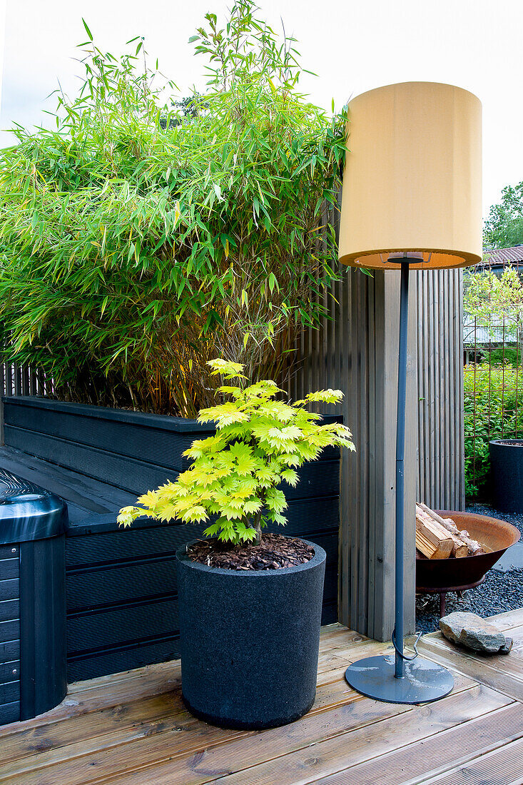 Wooden terrace with bamboo, maple in a tub and floor lamp