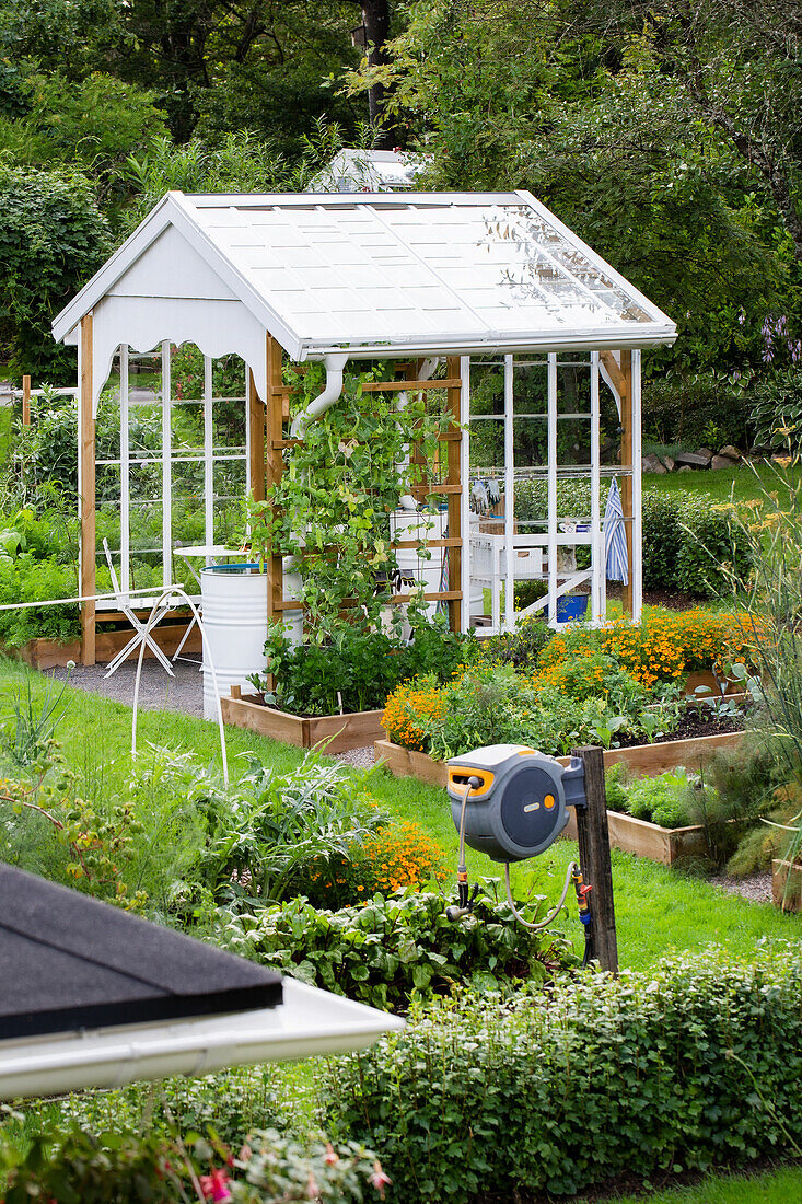 Open greenhouse in the garden surrounded by colourful flower beds and raised beds