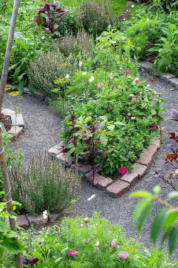 Flowering herb and perennial beds along a curved gravel path in the garden