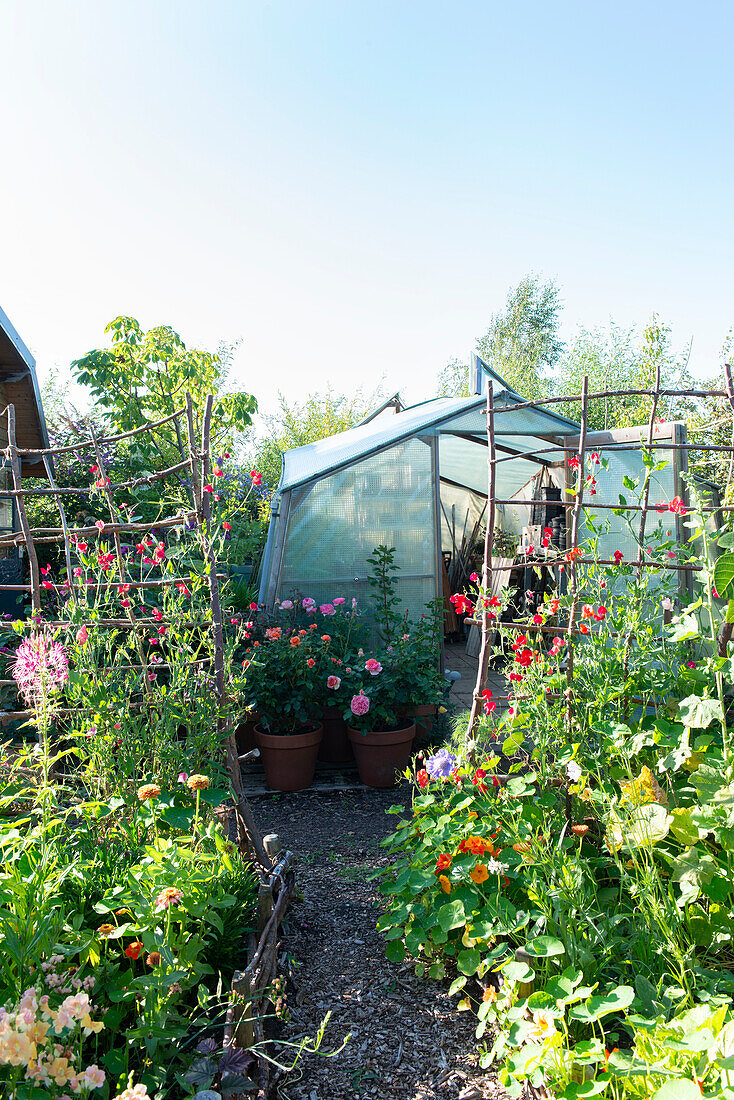 Blühender Garten vor einem Gewächshaus im Sommer