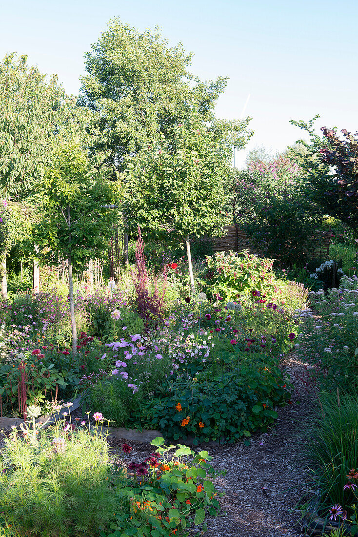 Versatilely planted garden in summer flowering splendour