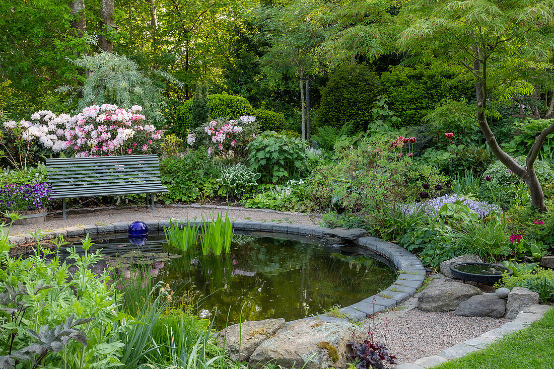 Garden with round pond, bench and flowering rhododendrons