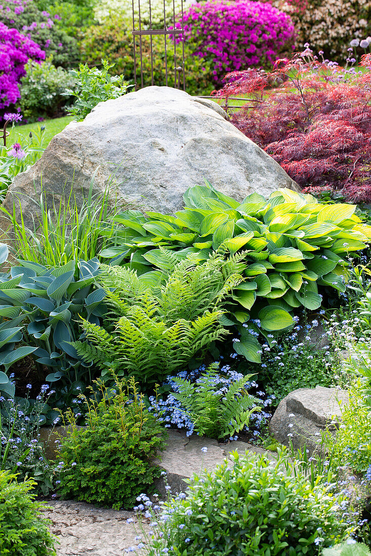 Rock garden with ferns, hosta and flowering shrubs