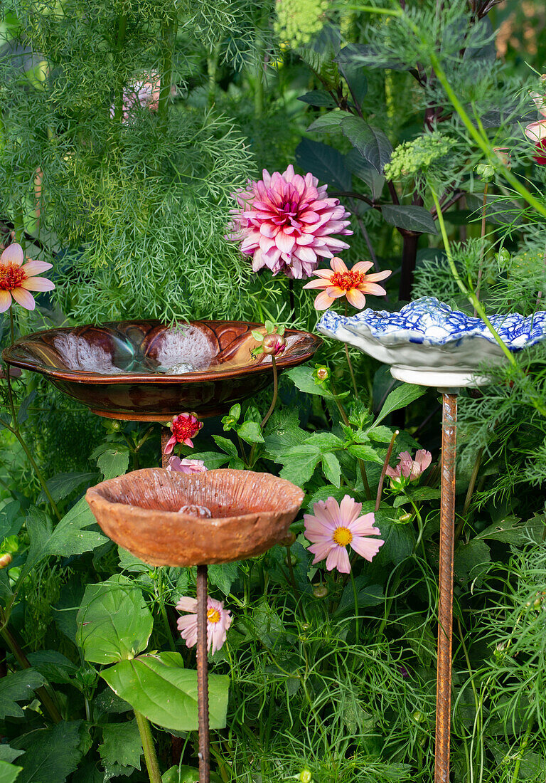 Dekorative Vogeltränken im sommerlichen Garten