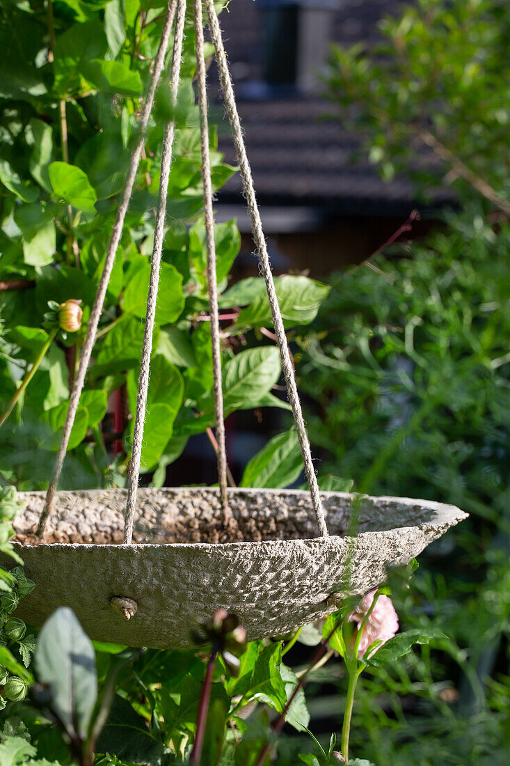 Hanging concrete bird bath in a green garden