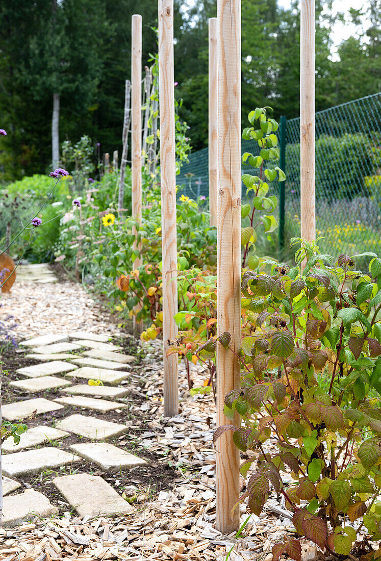 Garden path made of stone slabs lined with plants in the summer garden