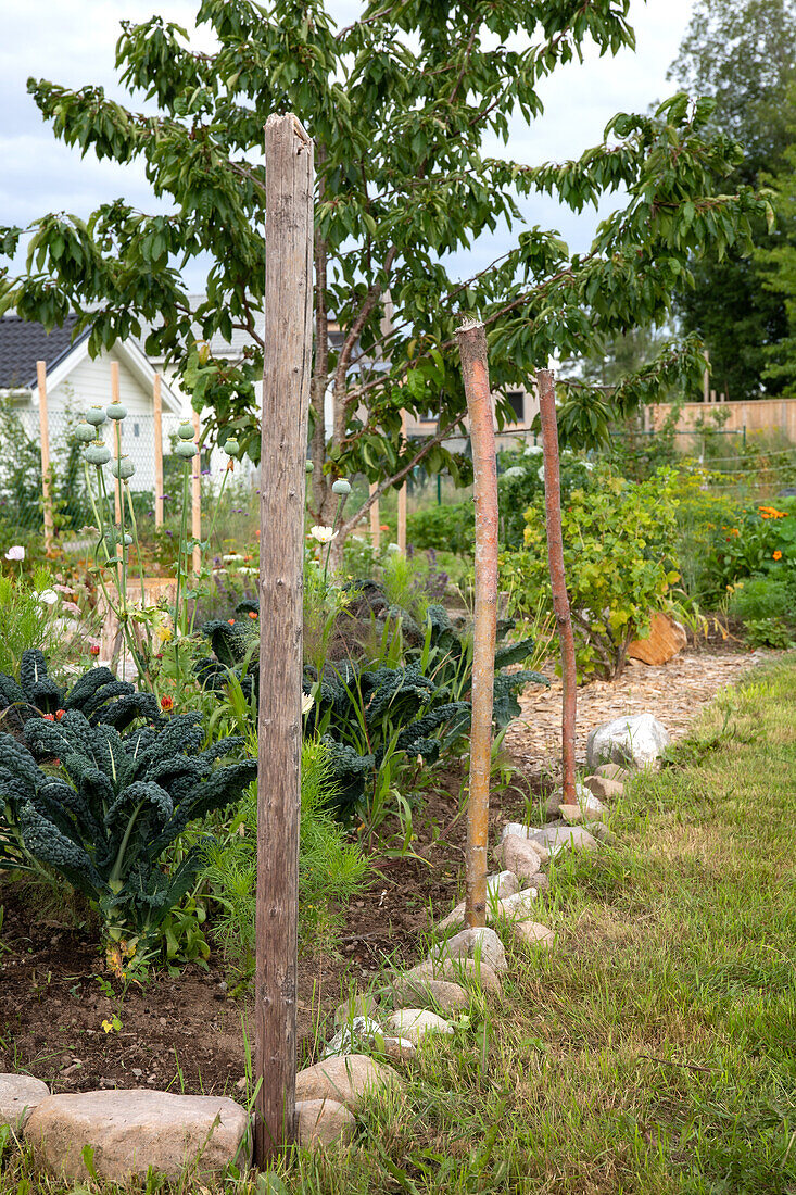 Gemüsegarten mit Beeteinfassung aus Steinen