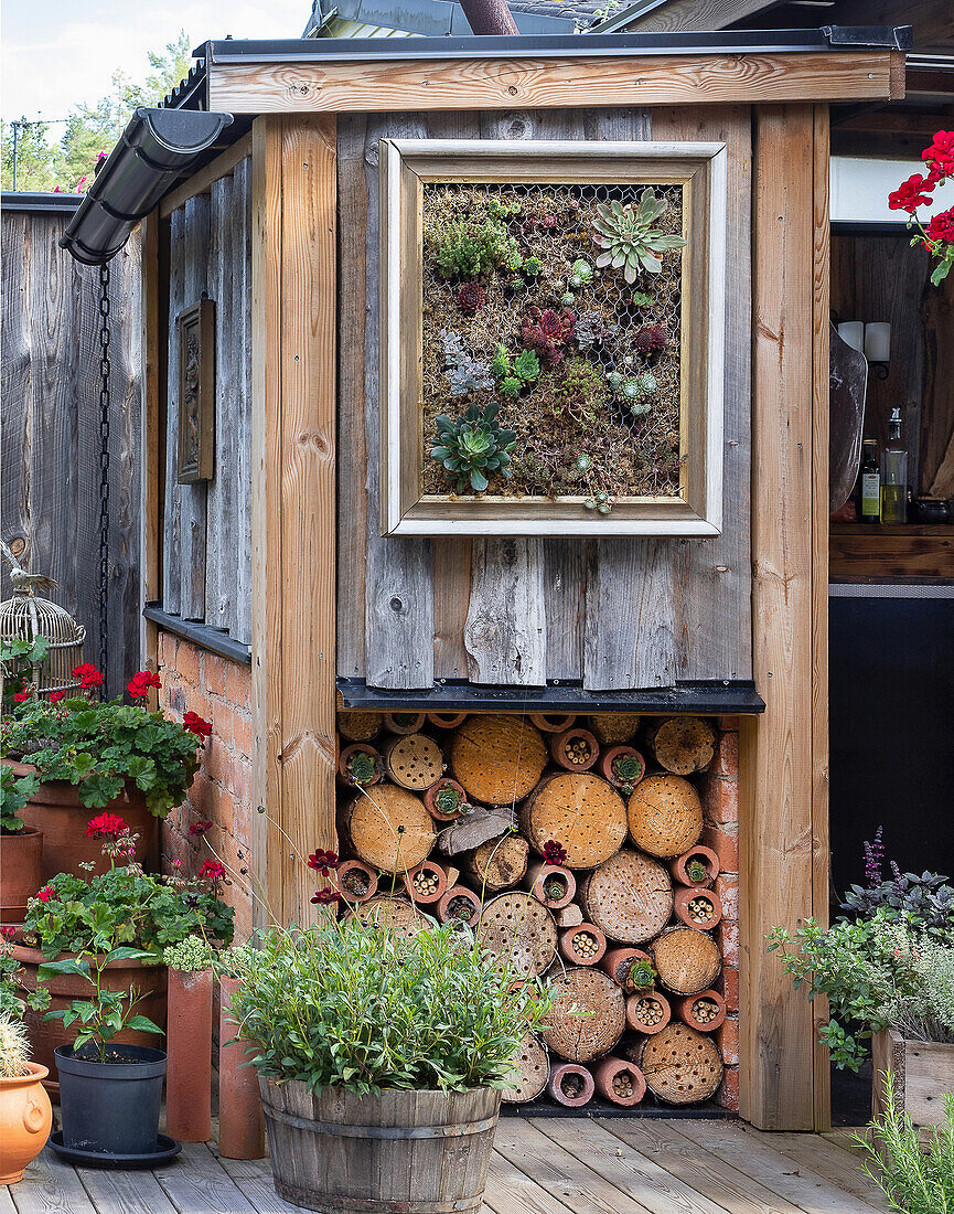 Plant wall and wood storage in the garden